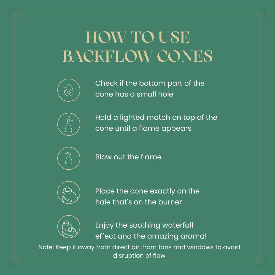 BackFlow Cones & Stand Combo
