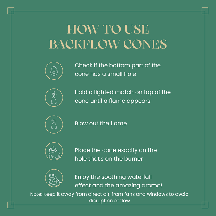BackFlow Cones & Stand Combo