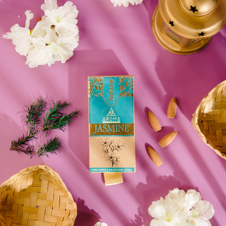 BackFlow Cones & Stand Combo